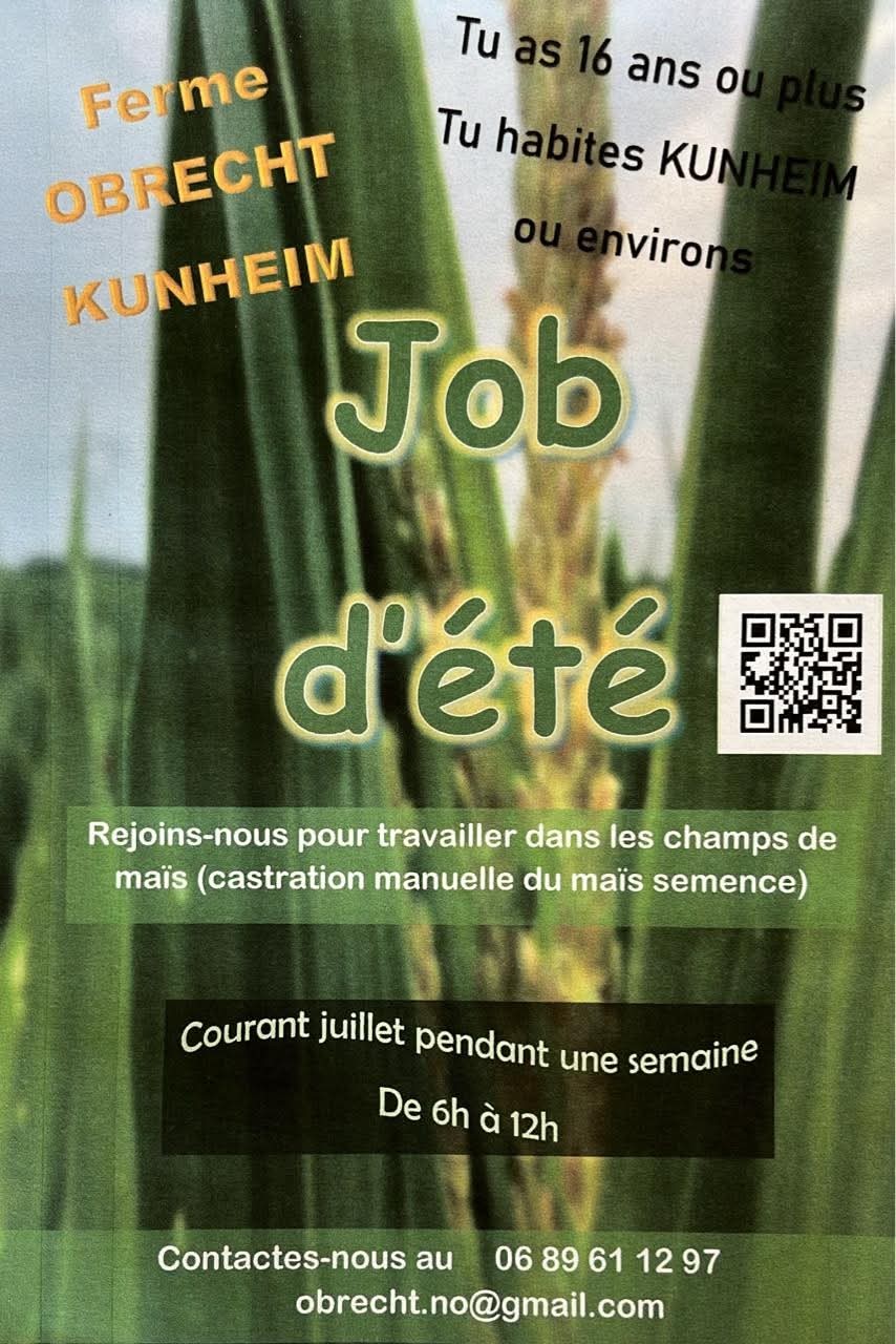 job d'&eacute;t&eacute; Ferme obrecht