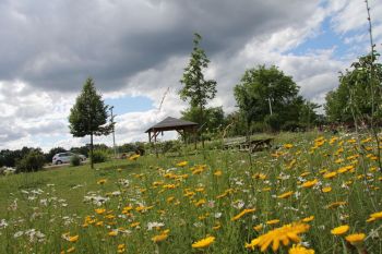 Kunheim Entrée sud pré fleuri et tonnelle_HR