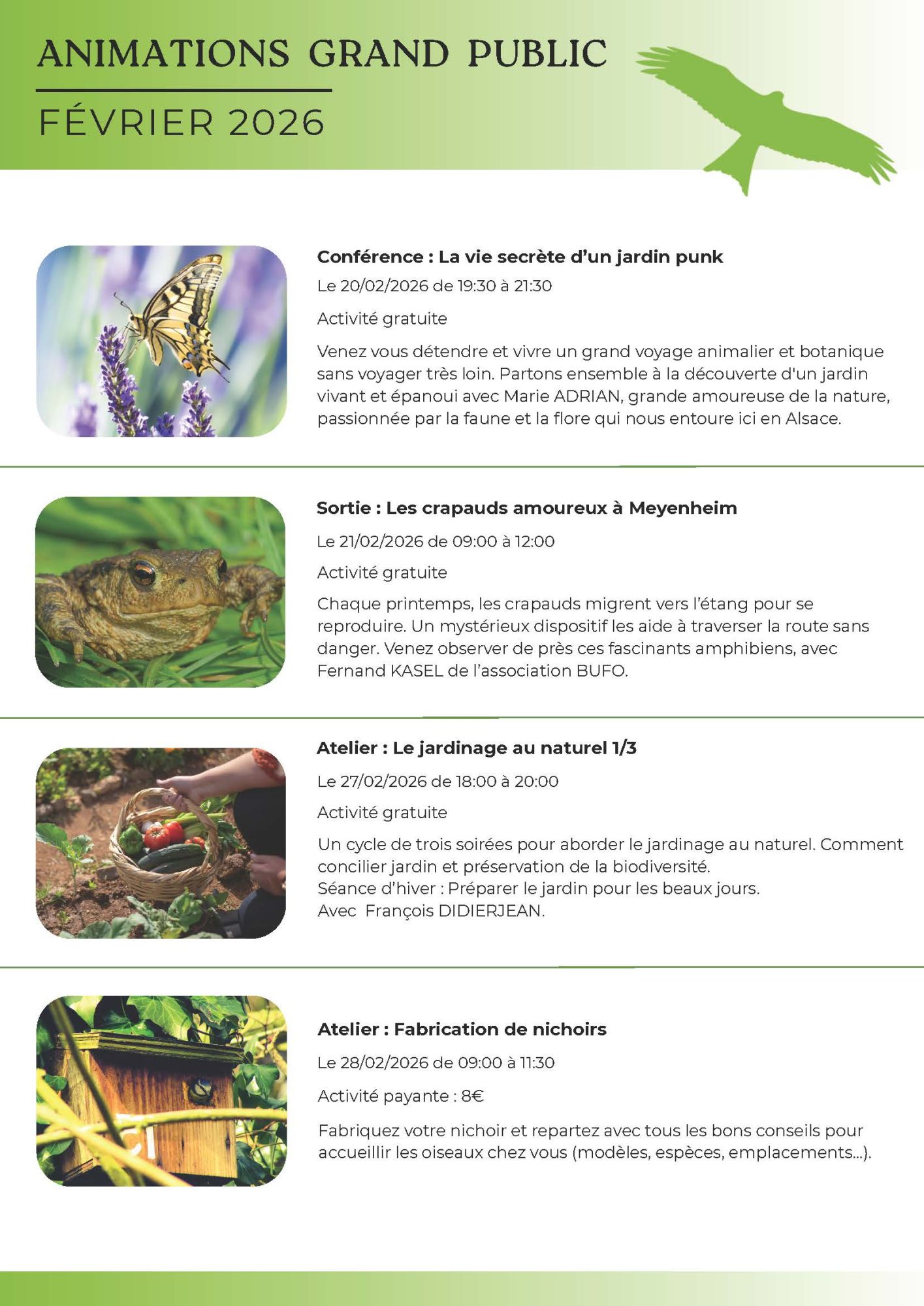 Newsletter Newsletter