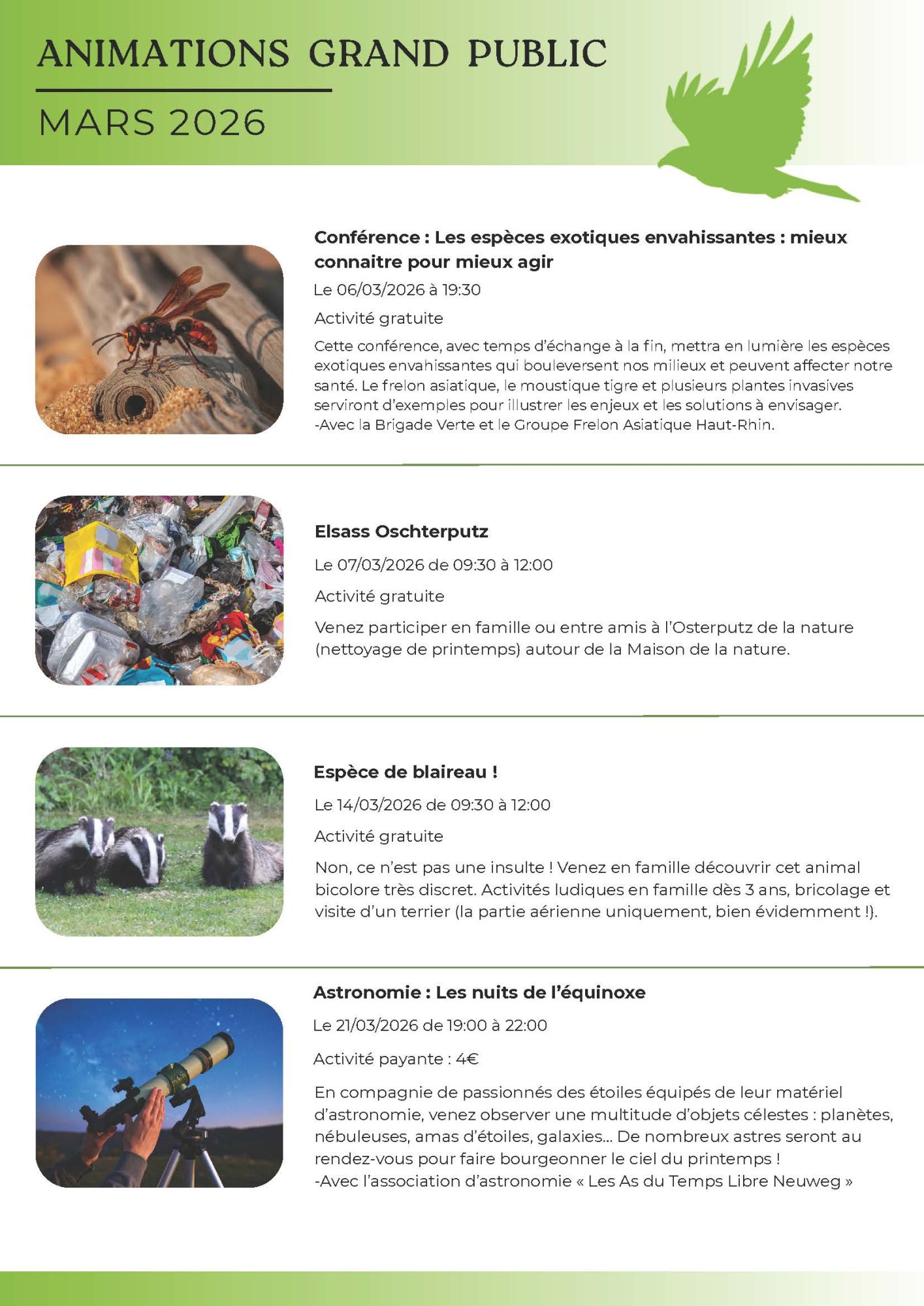 Newsletter Newsletter