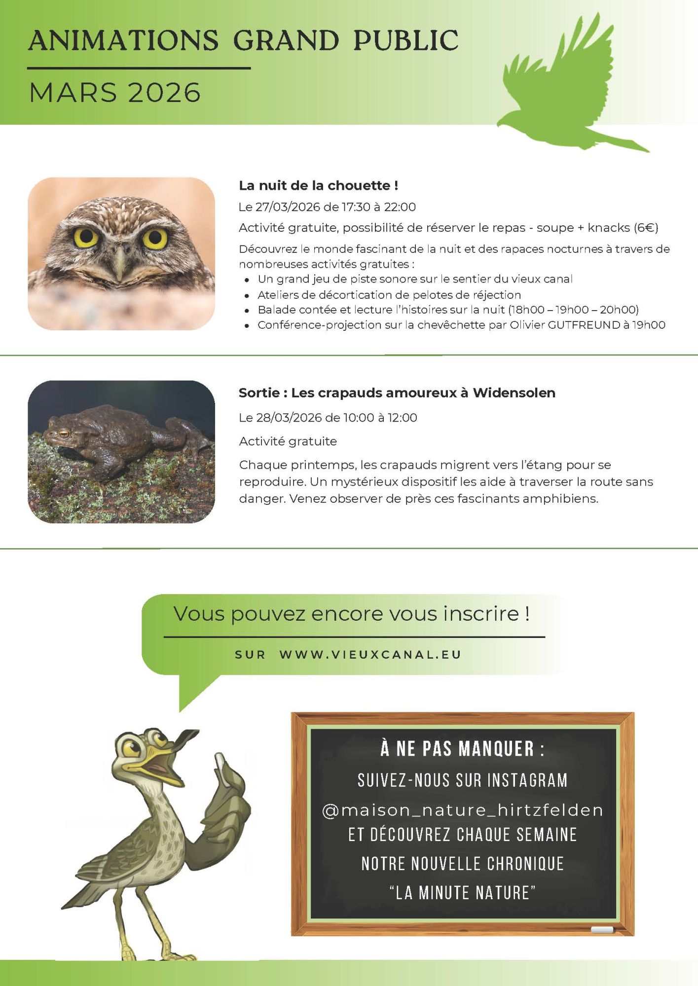 Newsletter Newsletter